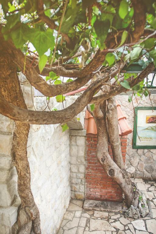 Apartment Romic Omis Luaran gambar